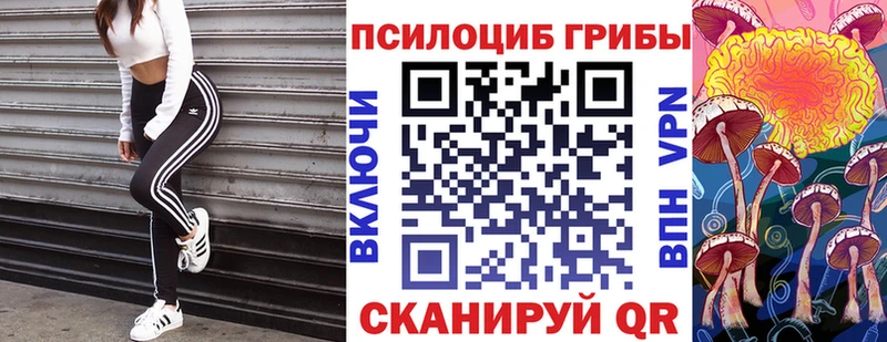 Псилоцибиновые грибы MAGIC MUSHROOMS  Железногорск 